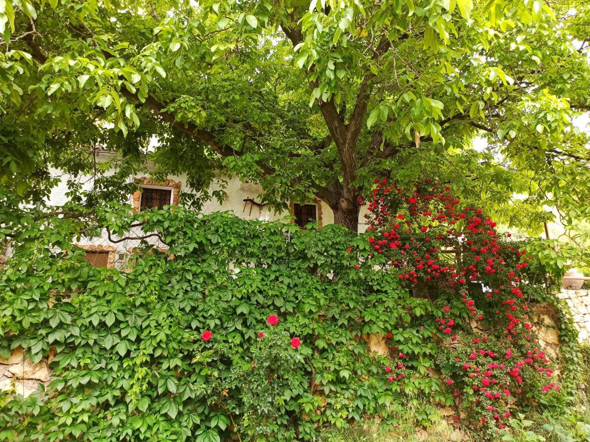 Gasthaus Cortijo Ramon Petra Nerpio Exterior foto